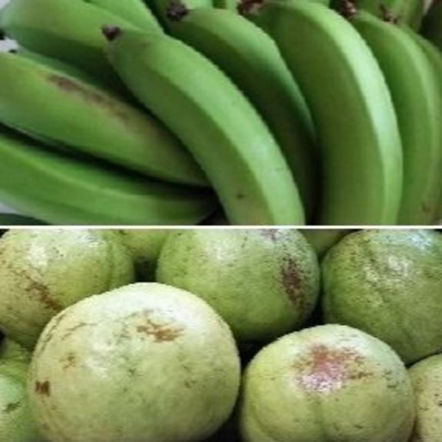 R『『グァバ(白）&三尺バナナ』傷あり　国産バナナ　グァバサラダ利用可能品種