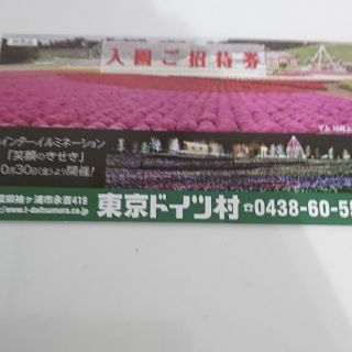 東京ドイツ村 入場招待券(遊園地/テーマパーク)