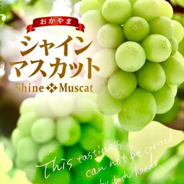 ◆送料無料◆岡山県産◆シャインマスカット 食品/飲料/酒の食品(フルーツ)の商品写真