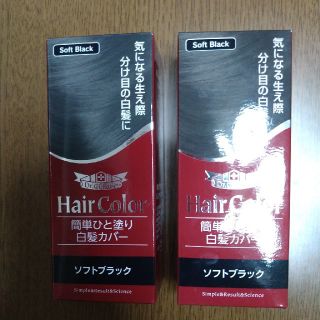 ドクターシーラボ(Dr.Ci Labo)のドクターシーラボ 簡単ひと塗り白髪カバー ソフトブラック(10mL)２個セット(白髪染め)