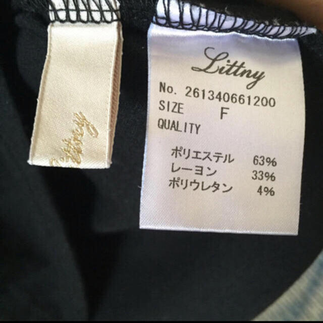 Littny(リトニー)のハイネック レディースのトップス(カットソー(半袖/袖なし))の商品写真