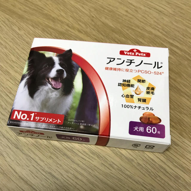 アンチノール  犬用60カプセル入り4箱新品その他