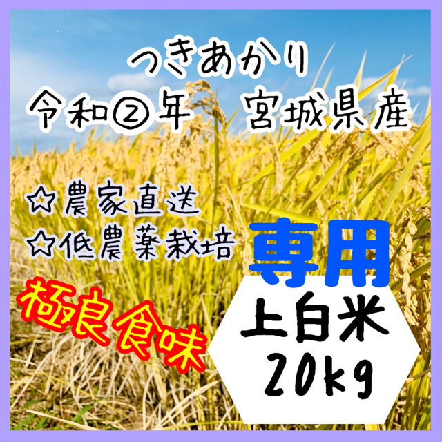 ☆専用品【農家直送】宮城県産つきあかり上白米＋玄米各10kg【送料無料】新米☆食品/飲料/酒