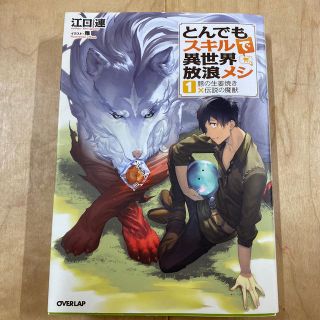 とんでもスキルで異世界放浪メシ １(文学/小説)