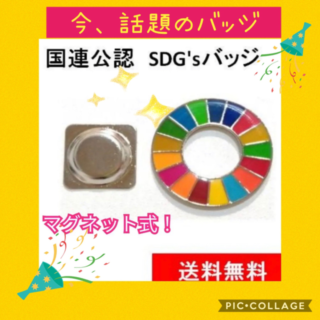 国連SDGsバッジ（マグネット式） エンタメ/ホビーのアニメグッズ(バッジ/ピンバッジ)の商品写真