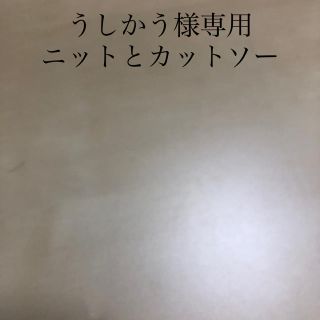 イネド(INED)のうしかう様専用　ニットとカットソー2点セット(ニット/セーター)