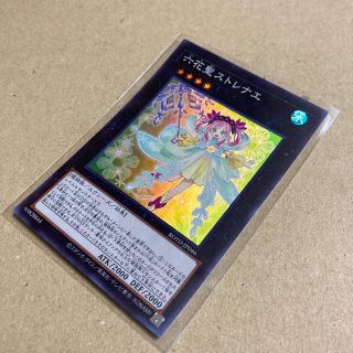 ユウギオウ(遊戯王)の遊戯王   六花聖ストレナエ　スーパー(シングルカード)