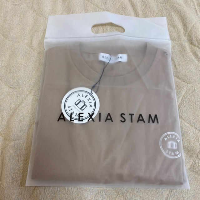 ALEXIA STAM(アリシアスタン)のalexia stamアリシアスタン新品完売ロゴTシャツモカalexiastam レディースのトップス(Tシャツ(半袖/袖なし))の商品写真