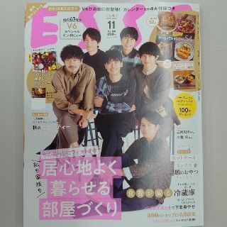 ESSE (エッセ) 2020年 11月号(生活/健康)