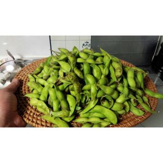 兵庫県丹波産　黒枝豆(野菜)