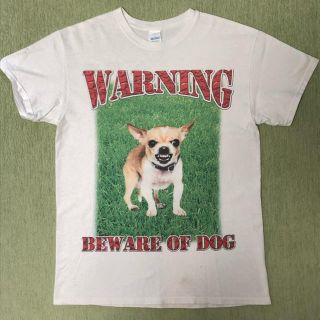 本人私物　Dogs KOHH Tシャツ　スカル　ヴィンテージ