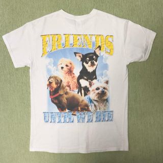 kohh dogs リンガーT io