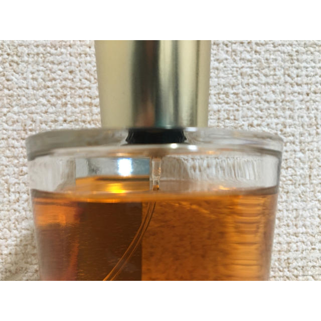 超目玉】 アクアディパルマ イリス ノービレ 100ml 【美品】 - 香水