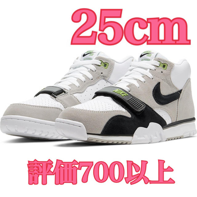 25cm★NIKE SB AIR TRAINER I ISO ナイキ トレーナー