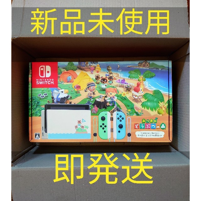 Nintendo Switch あつまれ どうぶつの森セット/Switchスイッチ