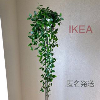 イケア(IKEA)の【新品】IKEA イケア フェイクグリーン （フェイカ）☆(その他)