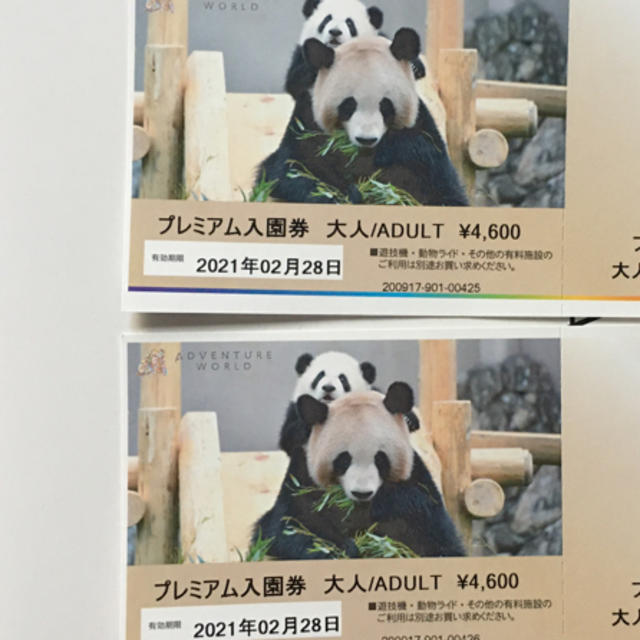 アドベンチャーワールドチケット2枚（交渉済） チケットの施設利用券(遊園地/テーマパーク)の商品写真