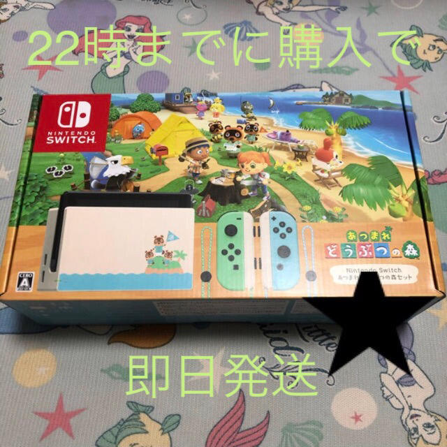 Nintendo Switch あつまれどうぶつの森 セット