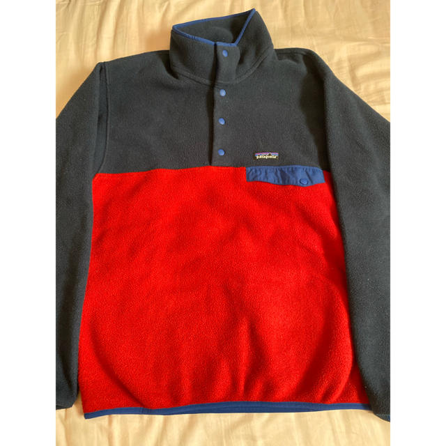 patagonia   シンチラ