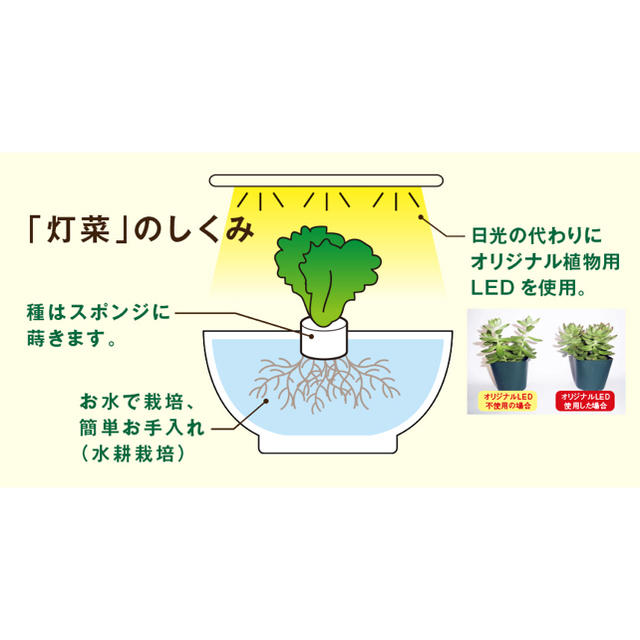 新品未開封 オリンピア|OLYMPIA LED植物栽培機 「Akarina15」 - 通販