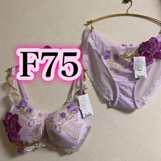 ワコール(Wacoal)の新品F75サルート84大女優(その他)