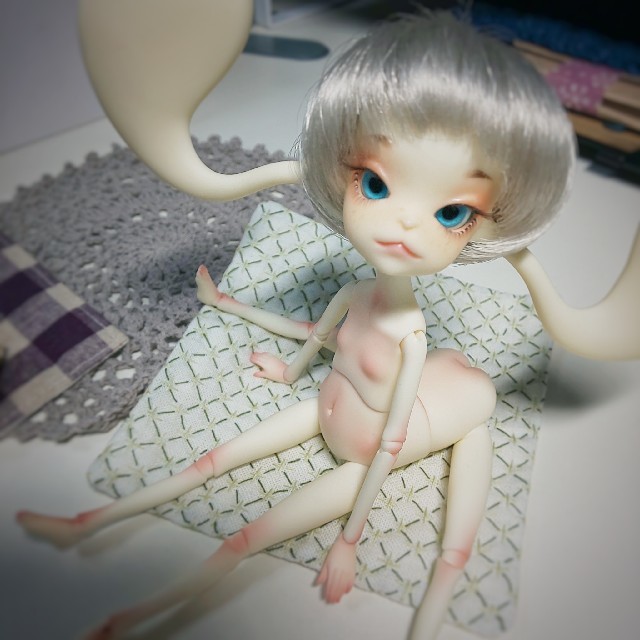 dollchateau ada ドール本体セット