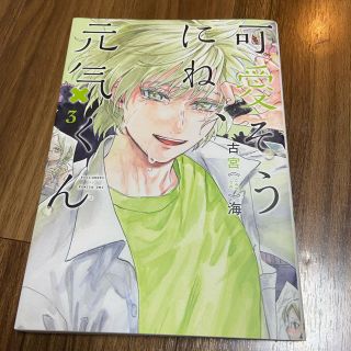 可愛そうにね、元気くん ３(青年漫画)