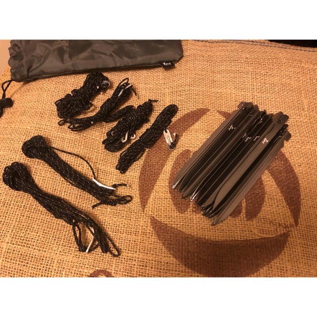 売上半額 【美品】ZANEARTS ゼインアーツ GIGI-1 PS-011 ギギ-1
