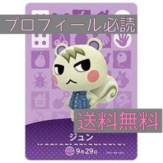 あつ森　amiibo ジュン　【プロフ必読】(家庭用ゲームソフト)