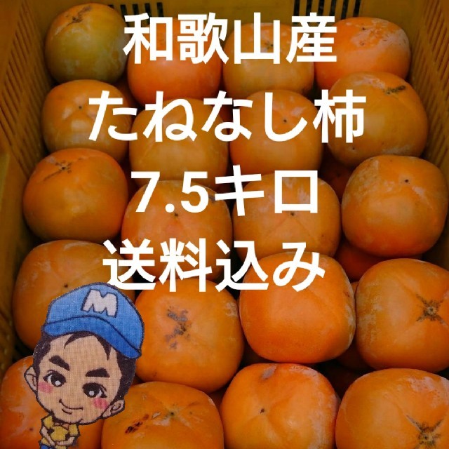 和歌山県産 まーくん家のたねなし柿 7.5キロ箱 食品/飲料/酒の食品(フルーツ)の商品写真