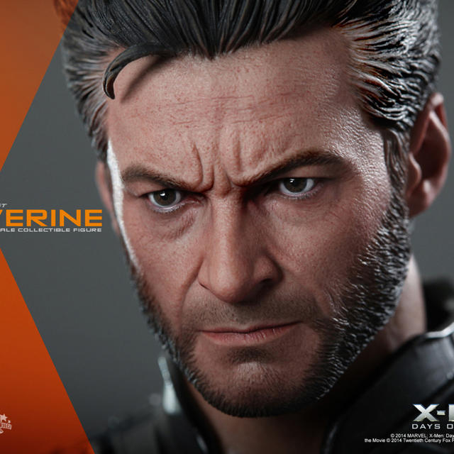 MARVEL(マーベル)のHot Toys WOLVERINE (X-MEN FUTURE & PAST) エンタメ/ホビーのフィギュア(アメコミ)の商品写真