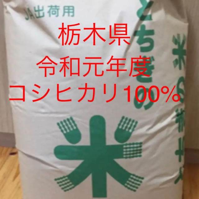 栃木　10キロ　令和元年度　コシヒカリ100%　玄米