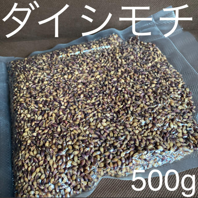 ダイシモチ玄麦500g 食品/飲料/酒の食品(米/穀物)の商品写真