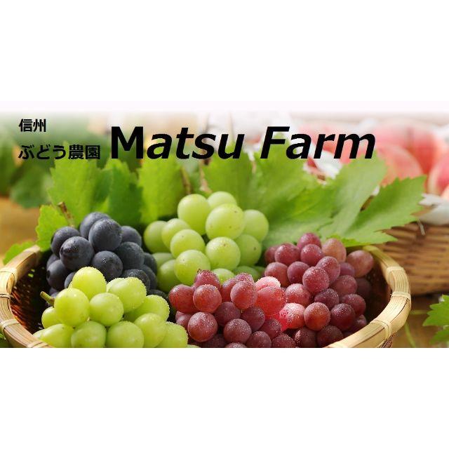 Ｇステラ様向け商品　　　送料込み２１，７００円