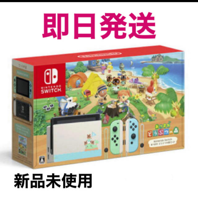 Nintendo Switch どうぶつの森セット/ニンテンドースイッチ 同梱版