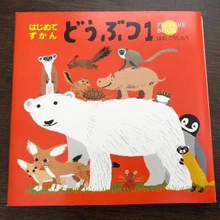 コクヨ(コクヨ)のはじめてずかん　どうぶつ1(絵本/児童書)