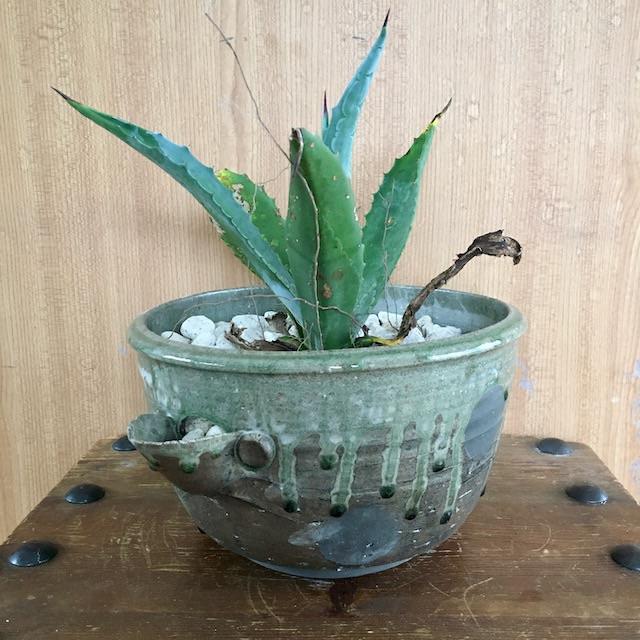 鉢 片口 植木鉢 和モダン インテリア 観葉植物の通販 By ひまつぶし S Shop ラクマ