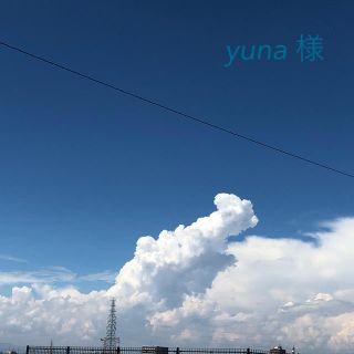 ウニコ(unico)のyuna 様 🎀 鍋敷き  3点(キッチン小物)