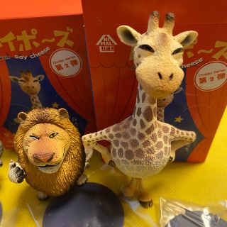朝隈俊男 ANIMAL LIFEシリーズ 第1、第2弾!コンプリートセット-