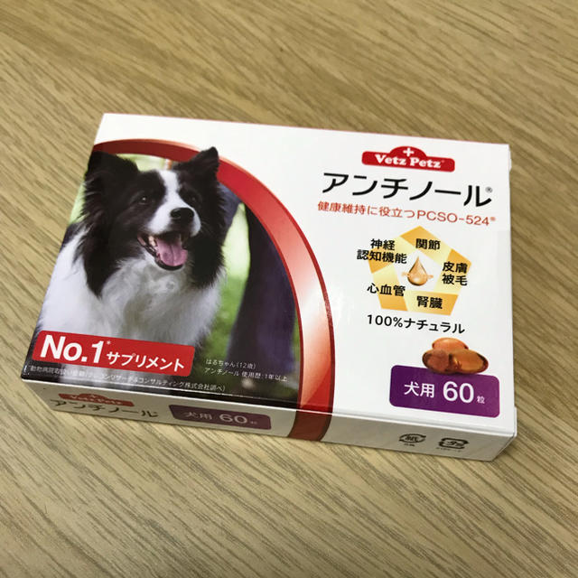 アンチノール  犬用60カプセル入り新品