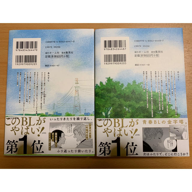 集英社(シュウエイシャ)のたなと「新装版 あちらこちらぼくら 上下巻」 エンタメ/ホビーの漫画(ボーイズラブ(BL))の商品写真