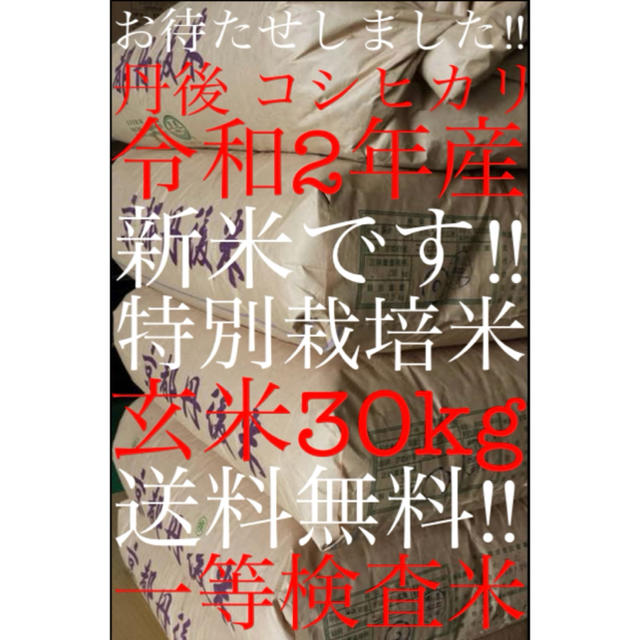 値頃 【送料無料.一等検査玄米】新米 令和2年度産 30kg コシヒカリ 丹後 京都 米/穀物 - www.shred360.com 値頃 【送料無料.一等検査玄米】新米 令和2年度産 30kg コシヒカリ 丹後 京都 米/穀物 - www.shred360.com
