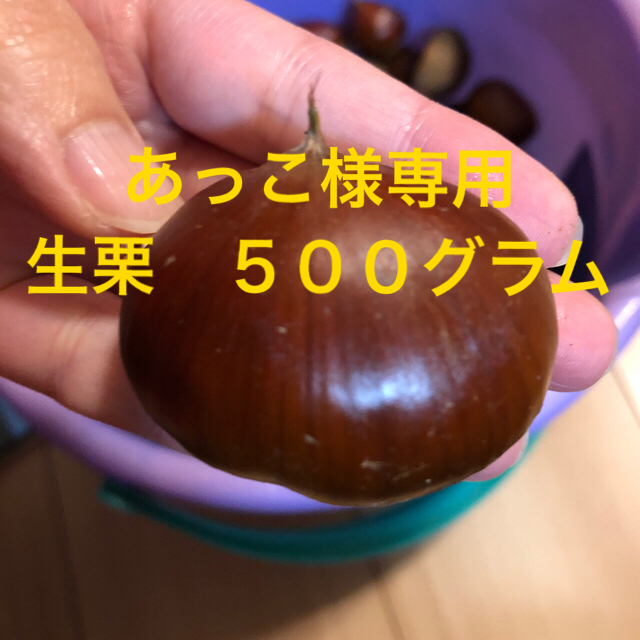 あっこ様専用　生栗　５００グラム 食品/飲料/酒の食品(フルーツ)の商品写真