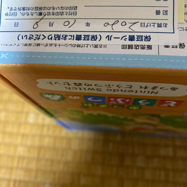 Nintendo Switch あつまれどうぶつの森セット 同梱版