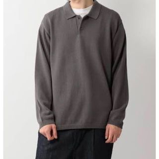 スティーブンアラン(steven alan)のSteven Alan /gass long sleeve poloshirt (ポロシャツ)