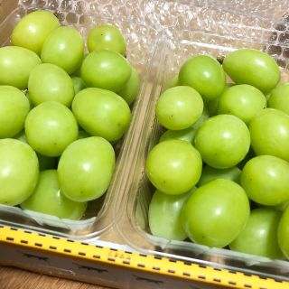 送料無料◇朝摘◇岡山産 晴王◇シャインマスカット(野菜)