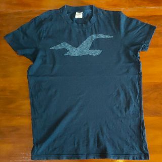 ホリスター(Hollister)のホリスター Tシャツ(Tシャツ/カットソー(半袖/袖なし))