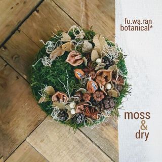 ☘️専用  感謝sale☘️moss&dry [[ ミニカボチャ]]  壁掛け(ドライフラワー)