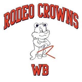 ロデオクラウンズワイドボウル(RODEO CROWNS WIDE BOWL)のRODEO CROWNSおまとめ(Tシャツ(長袖/七分))
