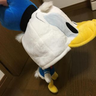 ディズニー　ドナルド帽子(その他)